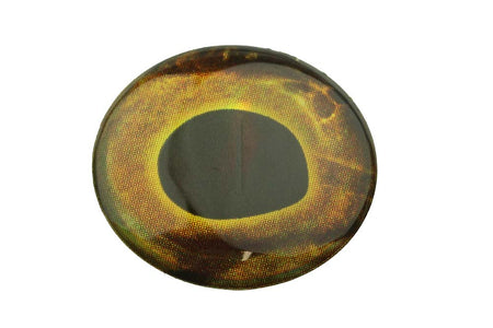 You added <b><u>Living Eyes - Earth</u></b> to basket.