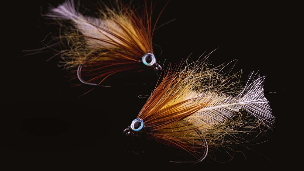 Stefans  CDC Kutling