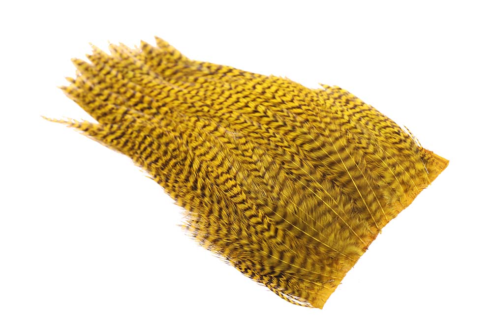 Ewing #1 Grizzly Yellow Deceiver Patch