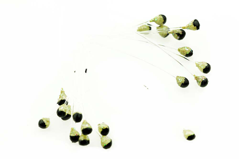 Shrimp and crab Eyes - Shrimp