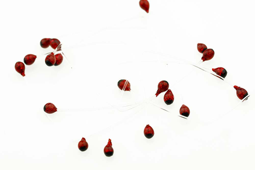 Shrimp and crab Eyes - Red