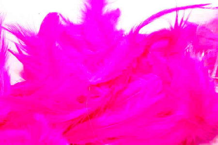 You added <b><u>Metz Soft hackles - Fl. Fuchsia</u></b> to basket.
