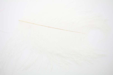 Du tilføjede <b><u>XL Struds Herl - White</u></b> til kurven.
