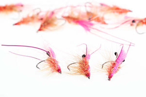 Apex Flies - The Winter Thief 