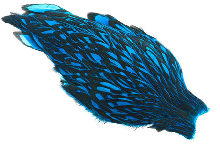 You added <b><u>Whiting American Hen Cape Black Laced - Kingfisher Blue</u></b> to basket.