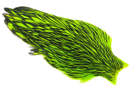 You added <b><u>Whiting American Hen Cape Black Laced - Chartreuse</u></b> to basket.