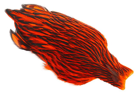 You added <b><u>Whiting American Hen Cape Black Laced - Orange</u></b> to basket.
