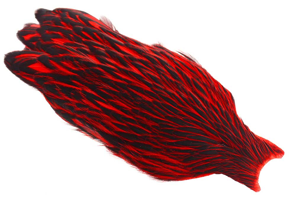 Whiting American Hen Cape Black Laced - Red
