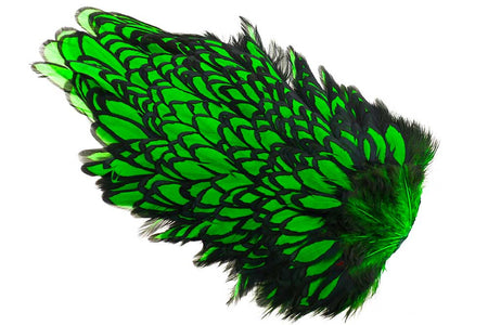 You added <b><u>Whiting American Hen Saddle Black Laced - Green Highlander</u></b> to basket.
