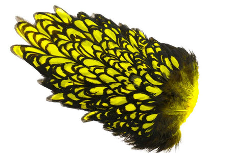 You added <b><u>Whiting American Hen Saddle Black Laced - Yellow</u></b> to basket.