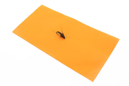 Du tilføjede <b><u>Rainy's Cross link Sheet Foam - Orange</u></b> til kurven.