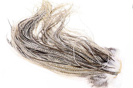 You added <b><u>(Gold Grade) Whiting Red Label Saddle - Unique Variant</u></b> to basket.