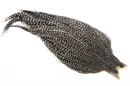 You added <b><u>(Bronze Grade) Whiting Red Label Dryfly - Grizzly Variant</u></b> to basket.