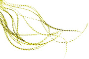 Whiting 100 Pack - Grizzly Olive size 14
