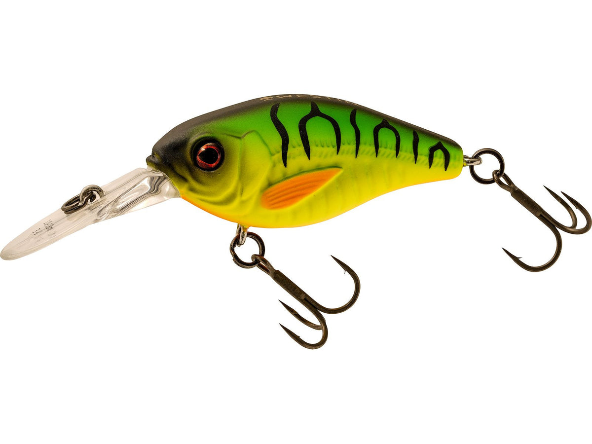 p311-1423-309.jpg