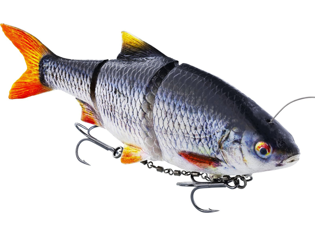 p086_ricky-the-roach-roach-inline_headline.jpg