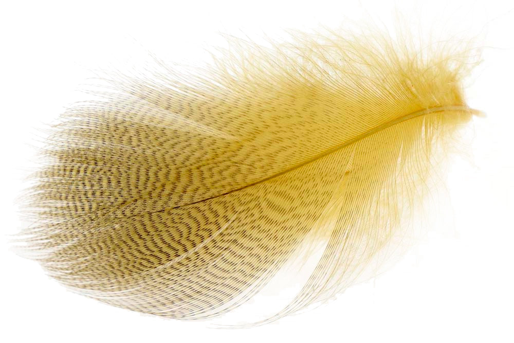 Mallard Barred Flank - Dyed Woodduck