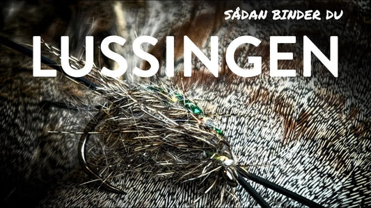 Du tilføjede <b><u>Lussingen</u></b> til kurven.