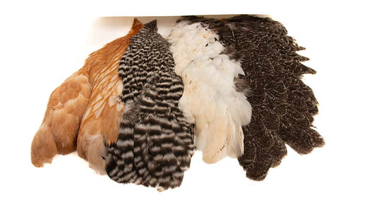 You added <b><u>Introductory Soft Hackle Pack - 2 Half Capes/2 Half Saddles</u></b> to basket.