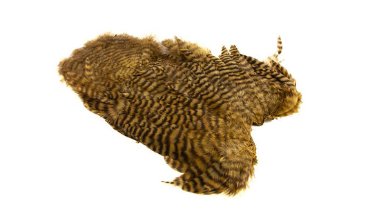 You added <b><u>Whiting Rooster Softhackle W Chickabou SH/C White dyed Golden Olive</u></b> to basket.