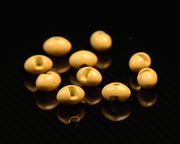 Spawn Slotted Tungsten Football Beads - 6.0 mm - Shrimp Peach