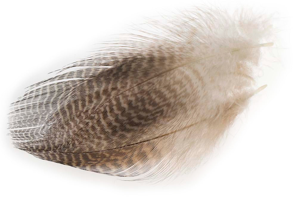 Teal Flank Feathers - Naturel